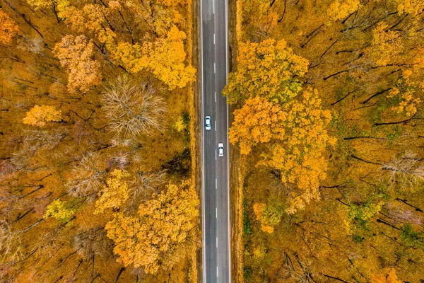 Two White Cars Drives Asphalt Road Highway Autumn Forest Drone — Stock Photo, Image