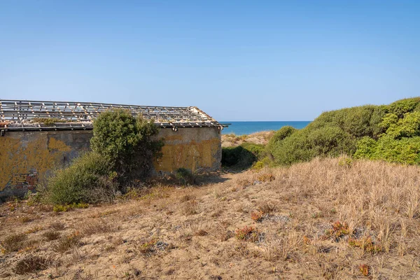 Ruins Old House Collapsed Roof Dunes Torre Astura Italy — Stock Photo, Image