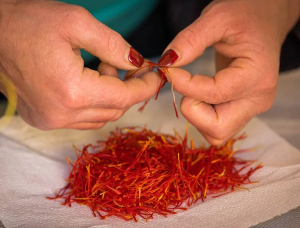 Heaps Pistils Saffron Flowers Table Woman Hands Harvest Civitavenga Italy — Stock Photo, Image