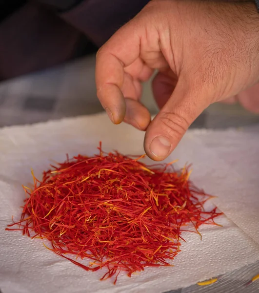 Heaps Pistils Saffron Flowers Table Man Hand Harvest Civitavenga Italy — Stock Photo, Image