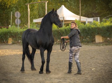 Bracciano, İtalya - 17 Ekim 2021, Lazio 'da Bracciano Gölü kıyısında eğitilmiş siyah aygır.