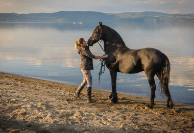 Bracciano, İtalya - 17 Ekim 2021, Lazio 'da Bracciano Gölü kıyısında eğitilmiş siyah aygır.