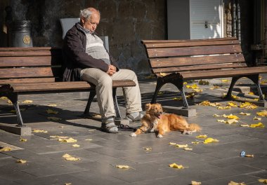 San Gregorio da Sassola, İtalya - 24 Ekim 2021, Büyükbaba güneşli sonbahar gününde bankta uyuyor ve San Gregorio da Sassola, İtalya 'da uykusunu koruyan kızıl köpek
