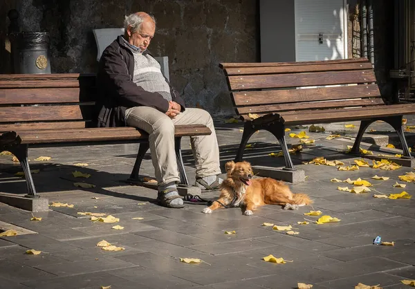 イタリアのサングレゴリオ サッソーラ 2021年10月24日 祖父は晴れた秋の日にベンチで眠り 生姜犬はイタリアのサングレゴリオ サッソーラで眠りを守っています — ストック写真