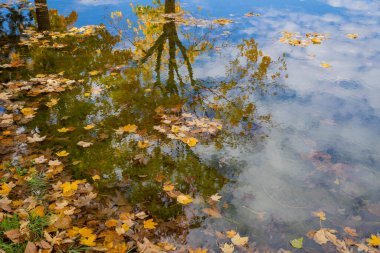 İtalya, Abruzzo 'daki Gran Sasso' da sonbahar ağaçları, yapraklar ve su yansımaları