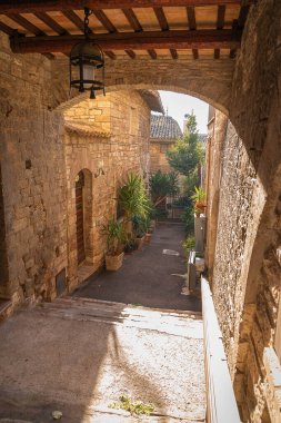 İtalya 'nın Perugia kentindeki pembe taş şehir Assisi' de resim gibi bir şehir.