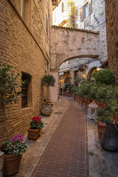 Picturesque Cityscape Kota Batu Merah Muda Assisi Perugia Italia Stok Lukisan  
