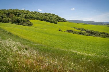 İtalya 'nın Toskana kentindeki bahar tarlalarının geleneksel görünümü