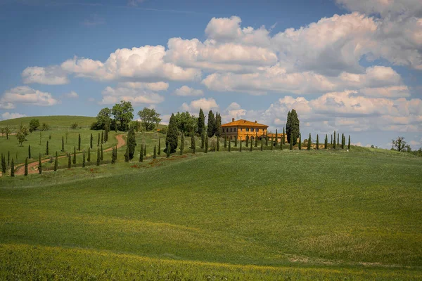 Traditionelle Ansicht Von Frühlingsfeldern Der Toskana Italien — Stockfoto