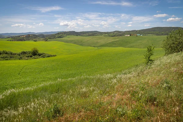 Traditionell Syn Vårfälten Toscana Italien — Stockfoto