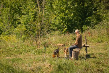 Roma, İtalya - 07 Mayıs 2020, Roma Parkı, İtalya 'da insanlar köpek gezdiriyorlar.