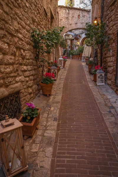 Assisi Italy November 2021 Picturesque Cityscape Pink Stone City Assisi — Stock Photo, Image