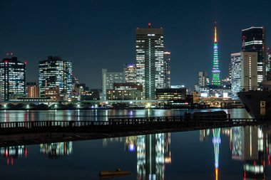 Noel için aydınlatılmış kuleli Tokyo gece manzarası