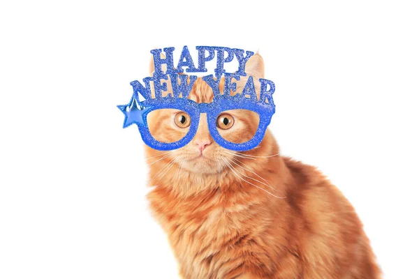 大晦日を祝うジンジャー猫はパーティー用の眼鏡帽子を着用しています。ハッピーニューイヤーバナー — ストック写真