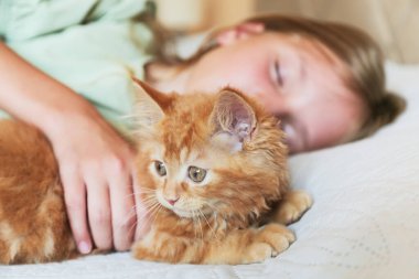 Zencefilli kedisiyle yatakta uyuyan küçük kız. Çocuk ve hayvan.