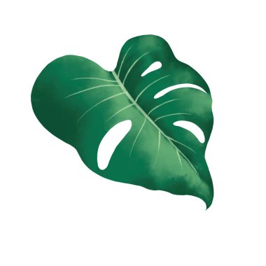 Kırpma yolu ile tropikal botanik bitki suluboya.