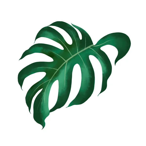 Akvarel Tropické Botanické Rostliny Odstřihovací Pěšinou — Stock fotografie