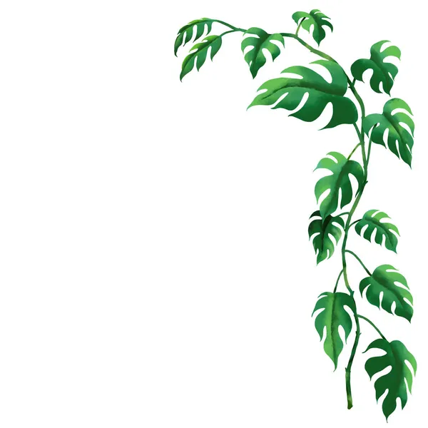 Watercolor Tropical Botanical Foliage Plant Vine Clipping Path — Stock Photo, Image