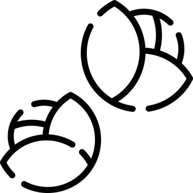 Brüksel lahanası ve karnabaharla ilgilidir.