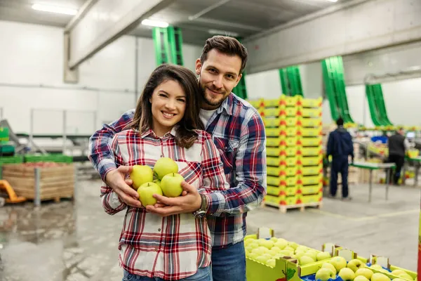 Család Büszke Almatermelésére Egy Szerelmes Pár Friss Zöld Almát Tart — Stock Fotó