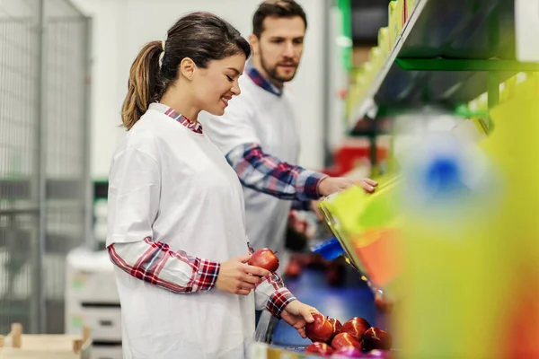 Almák Válogatása Ökológiai Termelésben Egy Férfi Egy Nyugodt Ruhában Véletlenszerűen — Stock Fotó