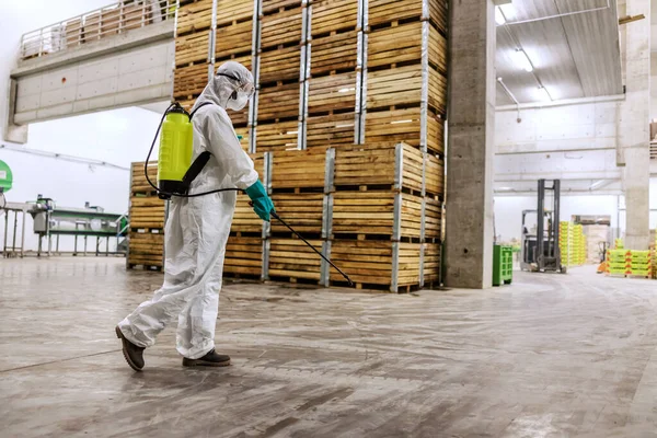 Persona Con Traje Protector Blanco Que Refresca Limpia Espacio Interior —  Fotos de Stock