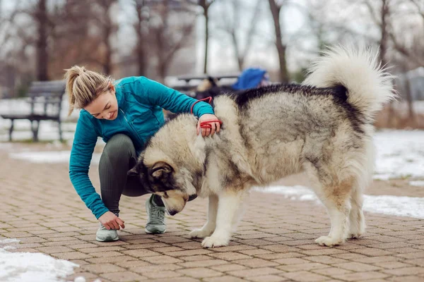 Mulher Brincando Com Seu Cão Enquanto Agacha Parque Dia Inverno — Fotografia de Stock