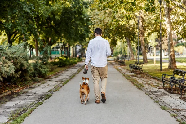 Visão Traseira Homem Vestido Casual Inteligente Andando Seu Cão Uma — Fotografia de Stock