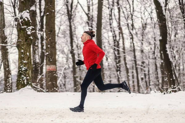 겨울에는 숲에서 빠르게 달리는 단거리달리기 — 스톡 사진