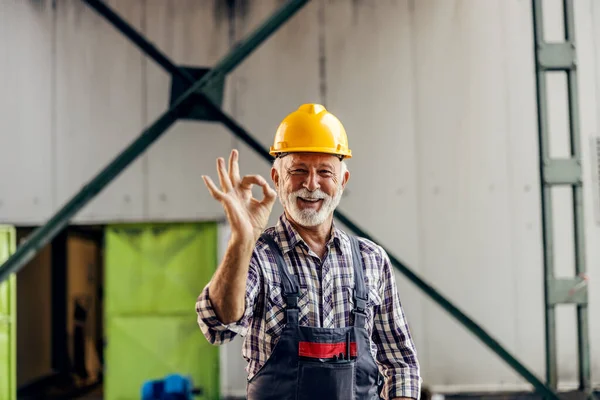 Happy Senior Blue Collar Employee Protective Helmet Standing Factory Showing — Stock Photo, Image