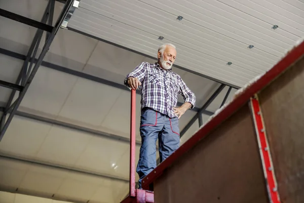 Ouvrier Usine Haut Placé Côté Silo Regardant Matière Semi Première — Photo