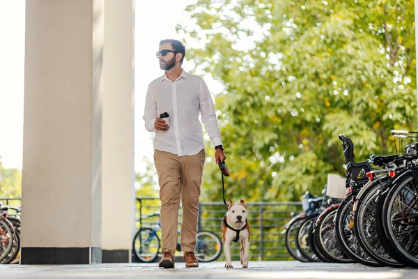 Young Bearded Businessman Dressed Smart Casual Walking His Dog Urban — 图库照片