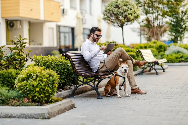 Happy Bearded Businessman Dressed Smart Casual Sitting Bench Park His — Fotografia de Stock