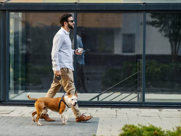 Businessman Drinking Coffee Walking His Dog Man Passing Windows Businessman — Stock Photo, Image