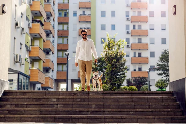 サングラスをかけた男が都会の外で犬の散歩をしている 階段を降りる傾向がある 犬と散歩中の男 — ストック写真