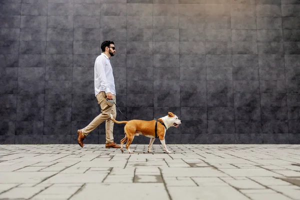 Man Dressed Smart Casual Walking His Dog Leash Urban Exterior — Stock Photo, Image