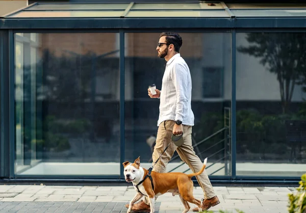 Walking Dog City Handsome Man Elegantly Dressed Drinks Coffee Walks — Fotografia de Stock