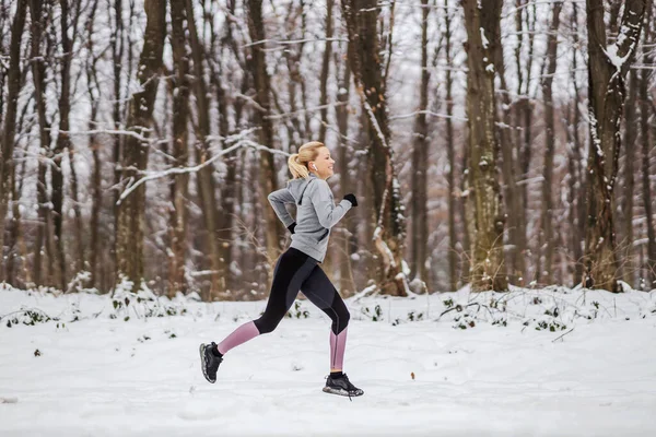 Snella Sportiva Che Corre Nei Boschi Durante Giornata Invernale Innevata — Foto Stock