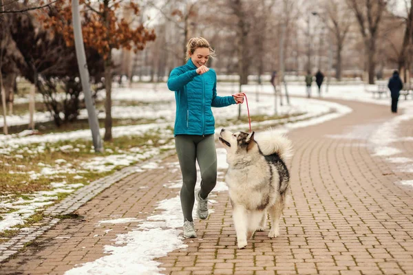 Mulher Brincando Com Seu Cão Enquanto Caminhava Parque Dia Inverno — Fotografia de Stock