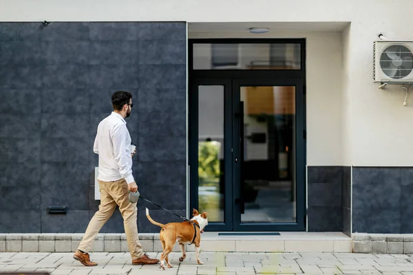 Seorang Pengusaha Berpakaian Cerdas Santai Memasuki Gedung Dengan Anjingnya Dan — Stok Foto
