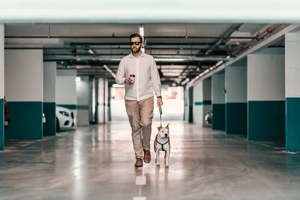 Biznesmen Ubrany Elegancko Okulary Przeciwsłoneczne Trzymający Kawę Wyprowadzający Psa Podziemnego — Zdjęcie stockowe