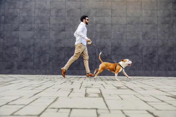 Sidovy Affärsman Klädd Smart Casual Kör Med Sin Hund Hund — Stockfoto