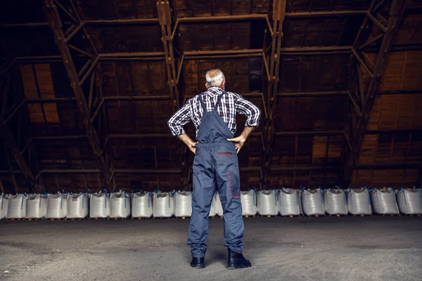 Rear View Senior Factory Worker Standing Factory Warehouse Hands Hips — Stock Photo, Image