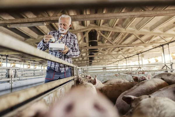 Agricultor Sênior Está Segurando Uma Caixa Com Medicamentos Para Animais — Fotografia de Stock