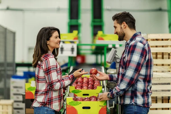 Una Pareja Ropa Cuadros Elige Manzana Las Cajas Almacén Producción —  Fotos de Stock