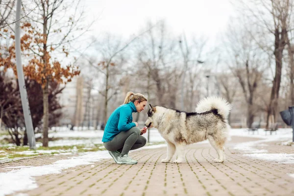 Kvinnan Pratar Med Sin Hund Medan Hon Hukar Sig Allmän — Stockfoto