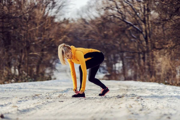 Sportswoman Piedi Sentiero Innevato Nella Natura Inverno Legando Suo Lacci — Foto Stock