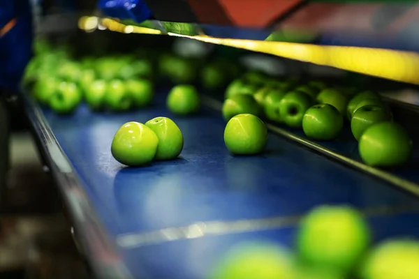 Taze Sıralanmış Yeşil Elma Üretimi Ambalajı Organik Meyve Sebzeleri Ayırmak — Stok fotoğraf