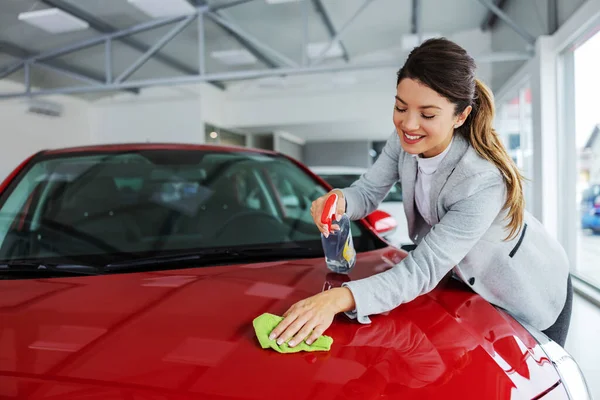 Smiling Tidy Female Car Seller Rubbing Car Detergent Cloth Everything — Stock Photo, Image
