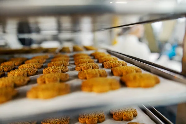 Zamknij Świeżo Upieczone Ciasteczka Tacy Fabryce Żywności — Zdjęcie stockowe